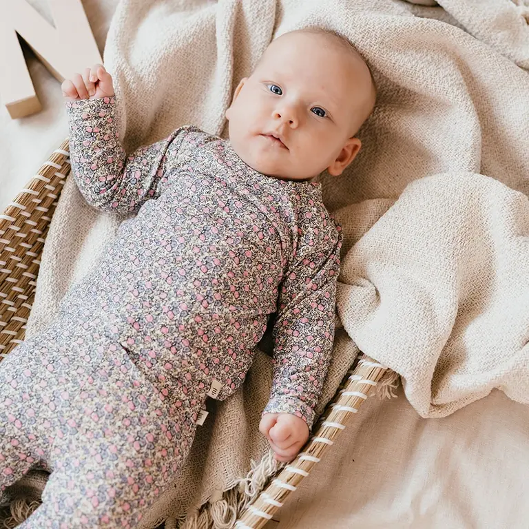 Longsleeve (multicolour)