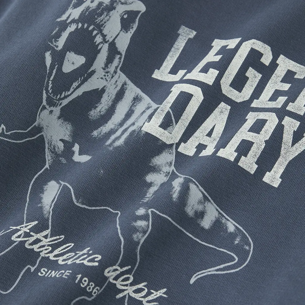 Trui sweat Fento (vintage indigo)