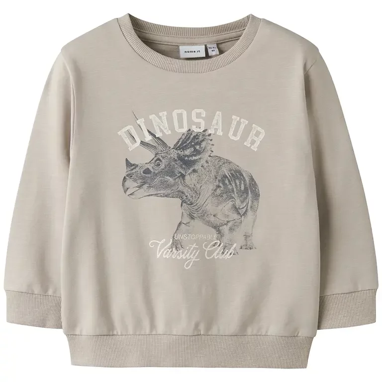 Trui sweat Fento (chateau gray)