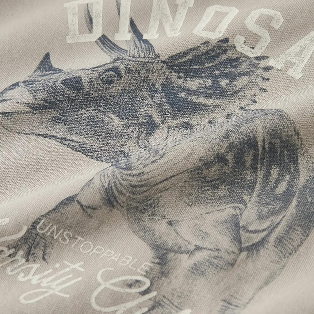 Trui sweat Fento (chateau gray)