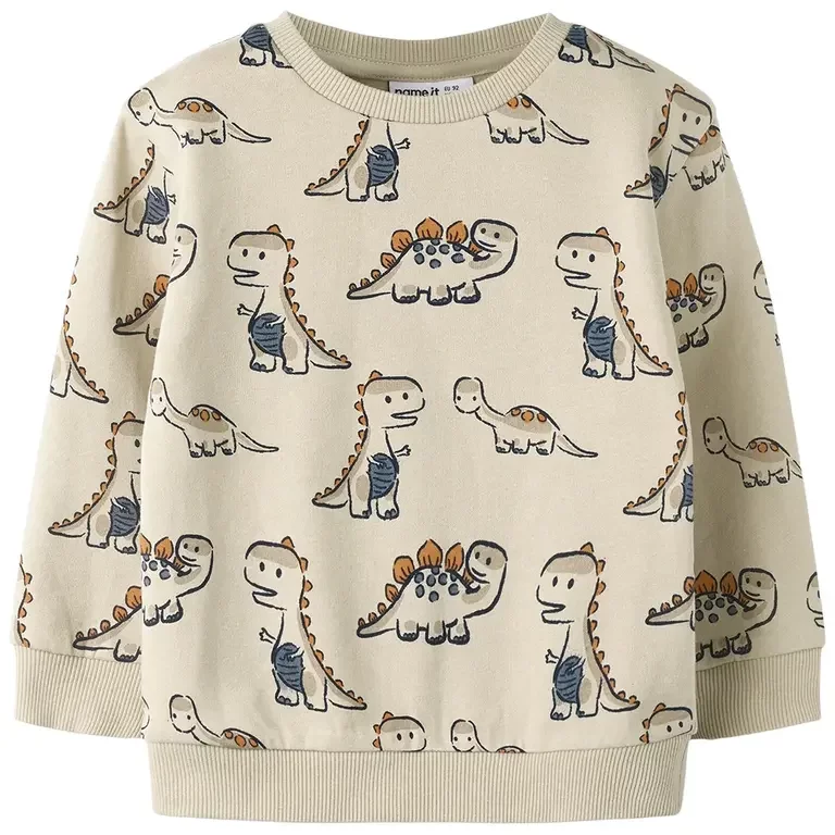 Trui sweat Fidino (peyote)