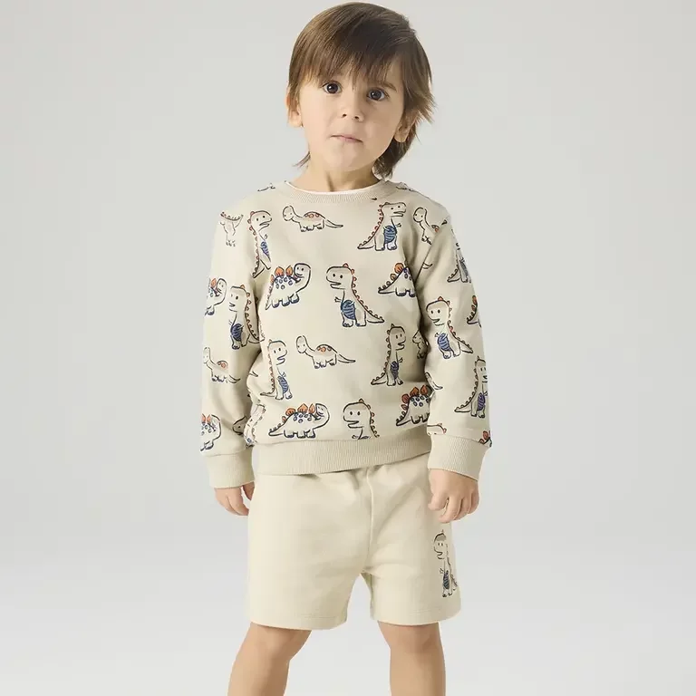 Trui sweat Fidino (peyote)