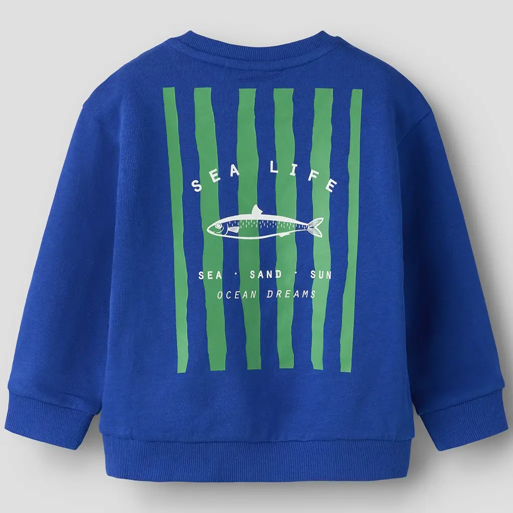 Trui sweat Haddian (surf the web)