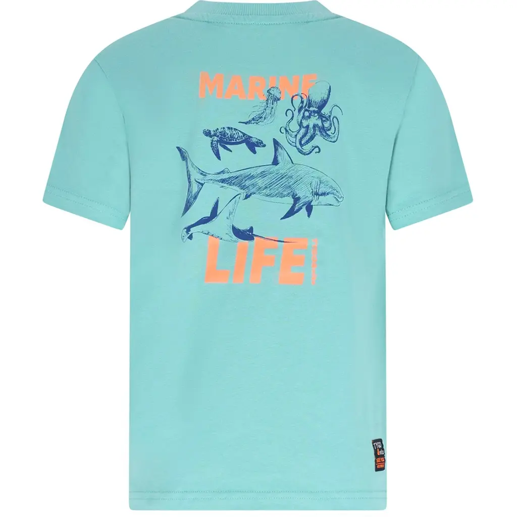 T-shirt Dylan (wasabi)