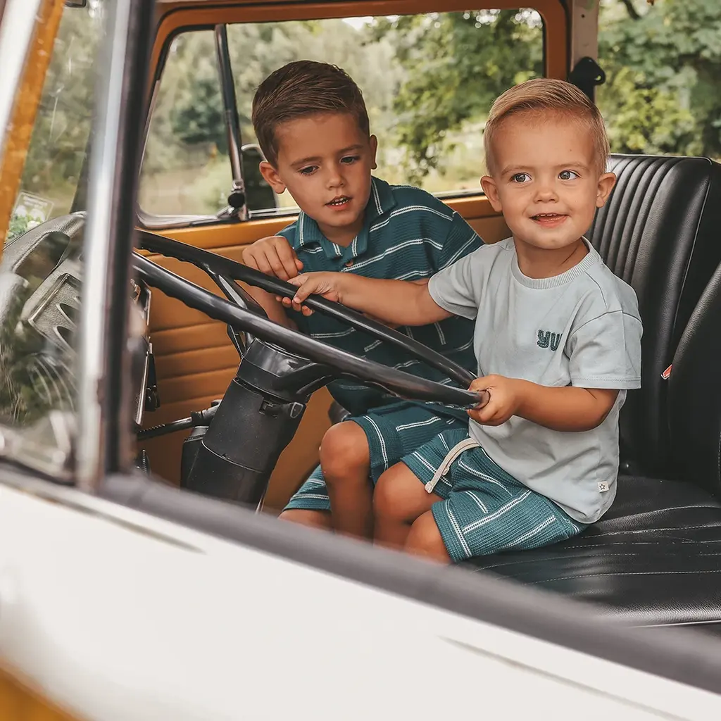 Overhemd loose fit (dragonfly)