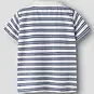 Name It Polo shirtje Jarl (cloud dancer striped)