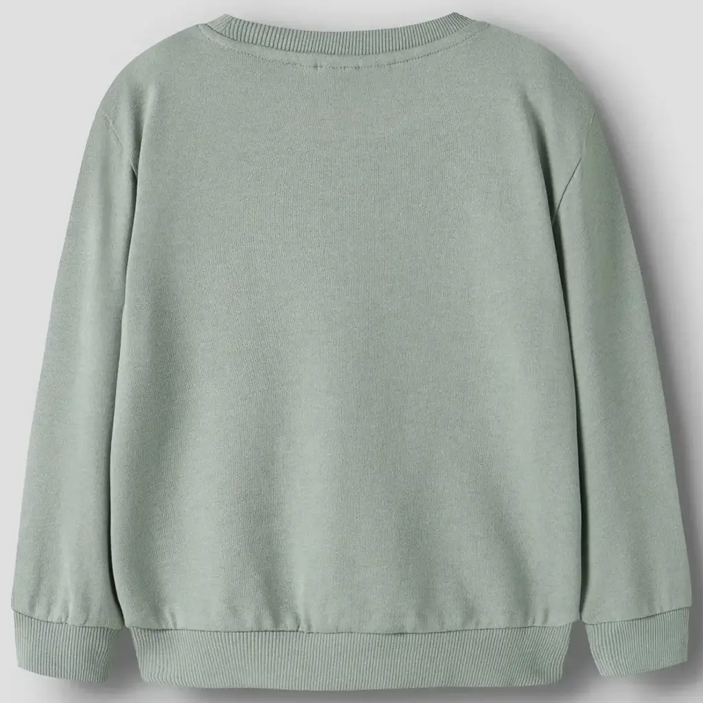 Trui sweat Vallen (green milieu DINO)