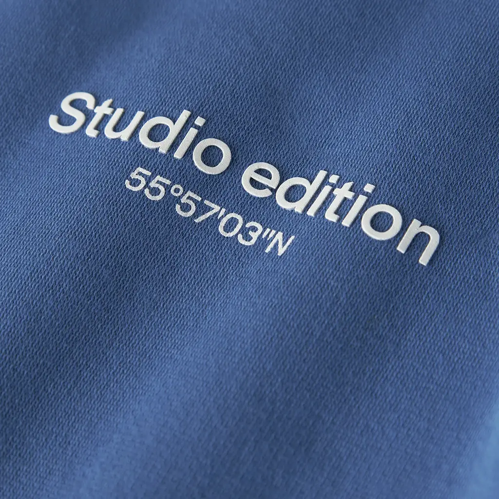 Trui sweat hoodie Brody (delft)