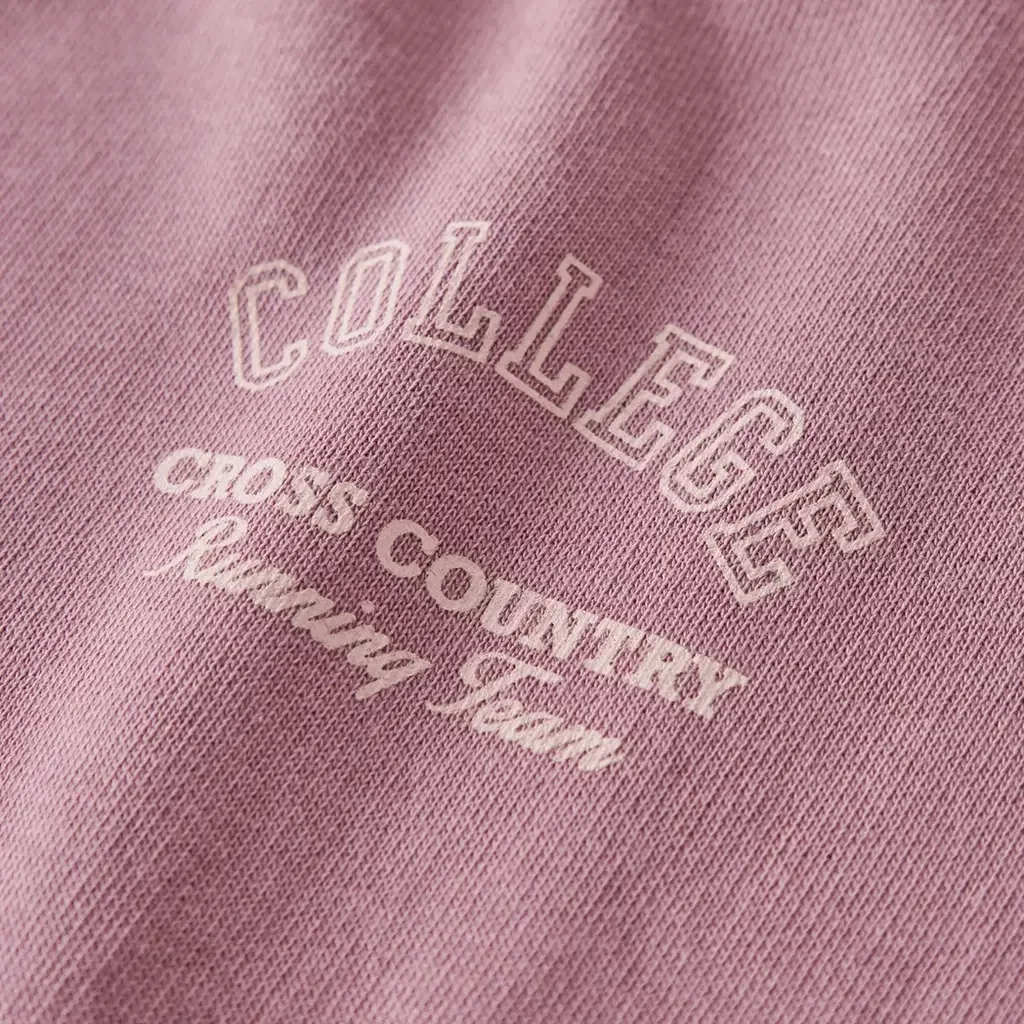 Trui sweat Vasacha (lilas college)