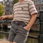 Name It T-shirt Voby (chateay gray chestnut)
