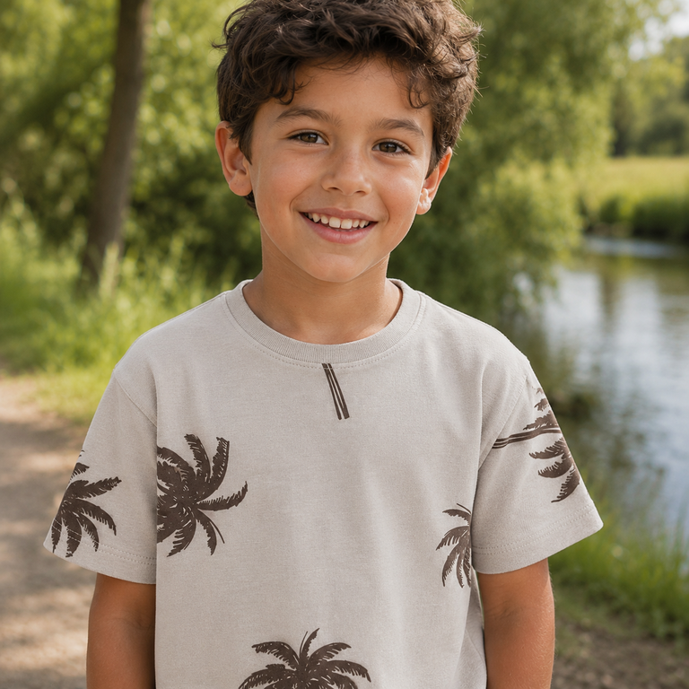 T-shirt Hamil (chateau gray)