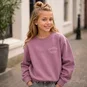 Name It Trui sweat Vasacha (lilas college)