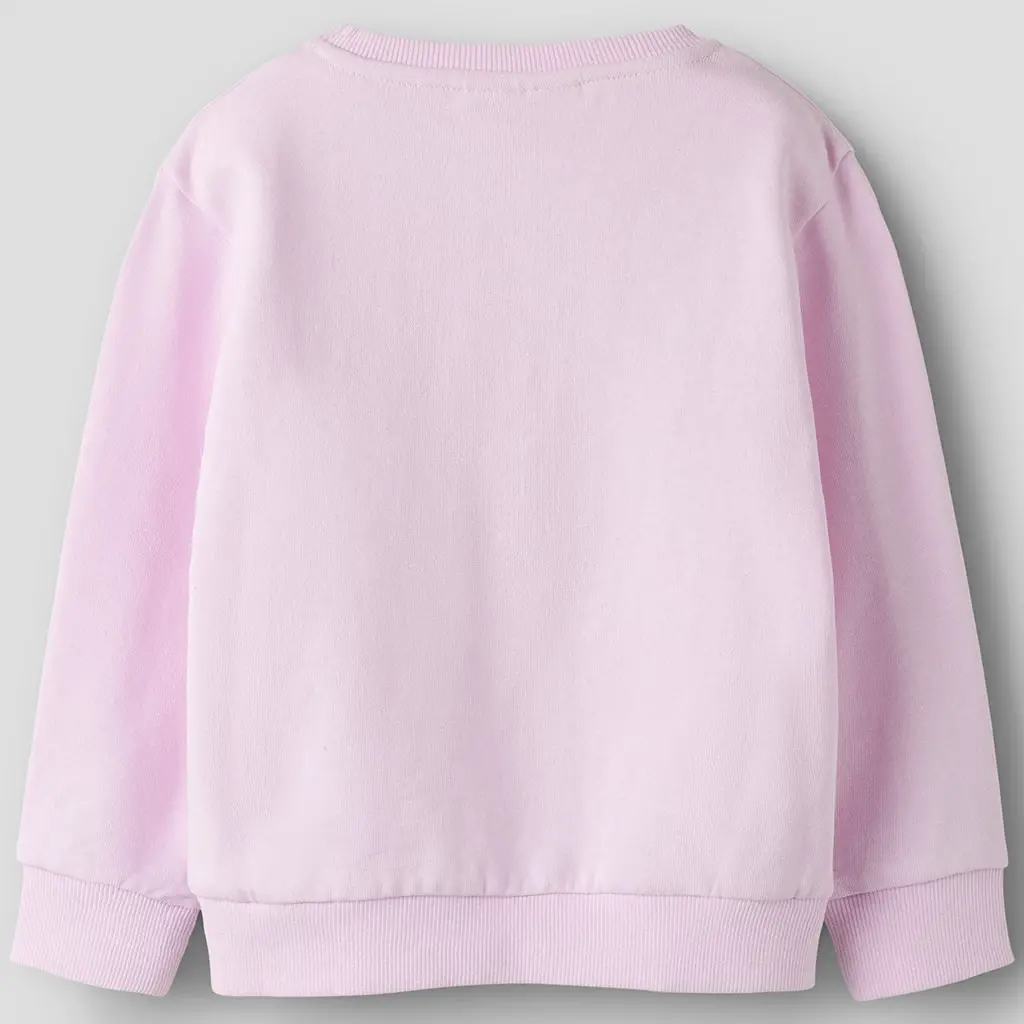 Trui sweat Diana (pirouette)