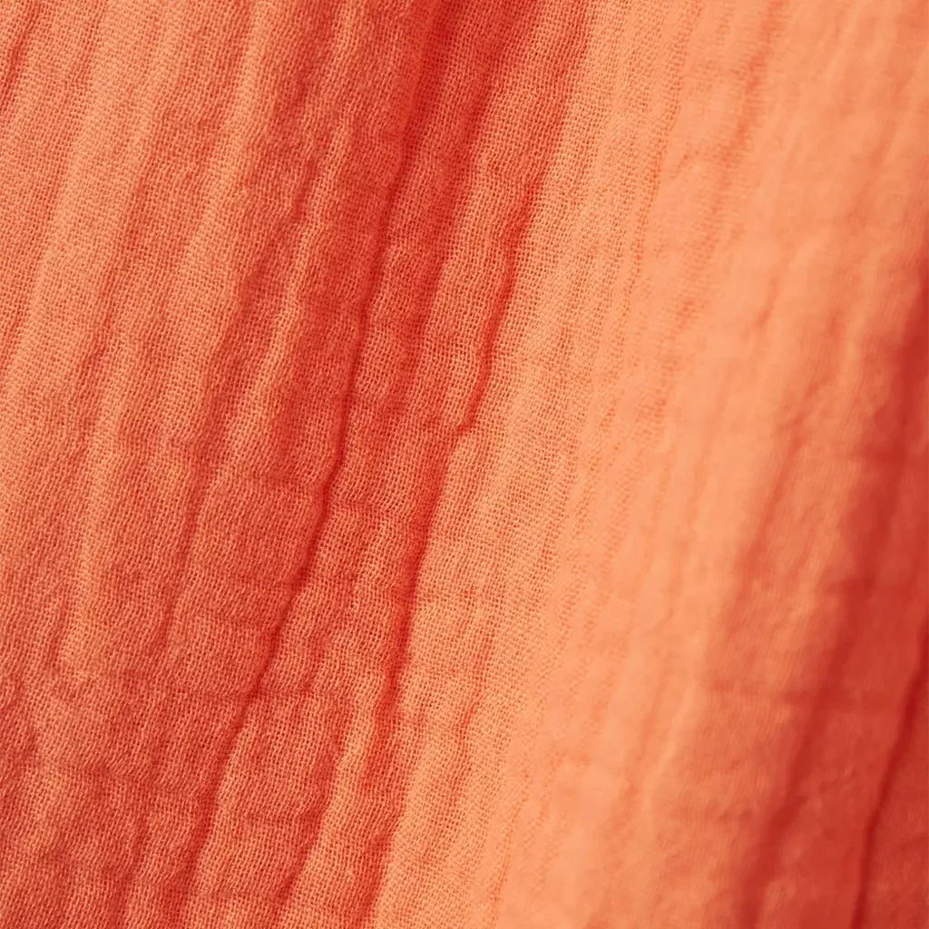 Topje Hisa (fresh salmon)