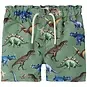Name It Zwembroek Zimon (basil dinosaurs))