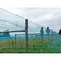 Knooploos tuinnet - 22mm 15x15 blauw