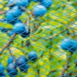 Tuinnet 15 mm maas blauw per m2