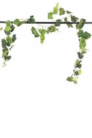 Greenmoods Druiven guirlande brandvertragend 186 cm