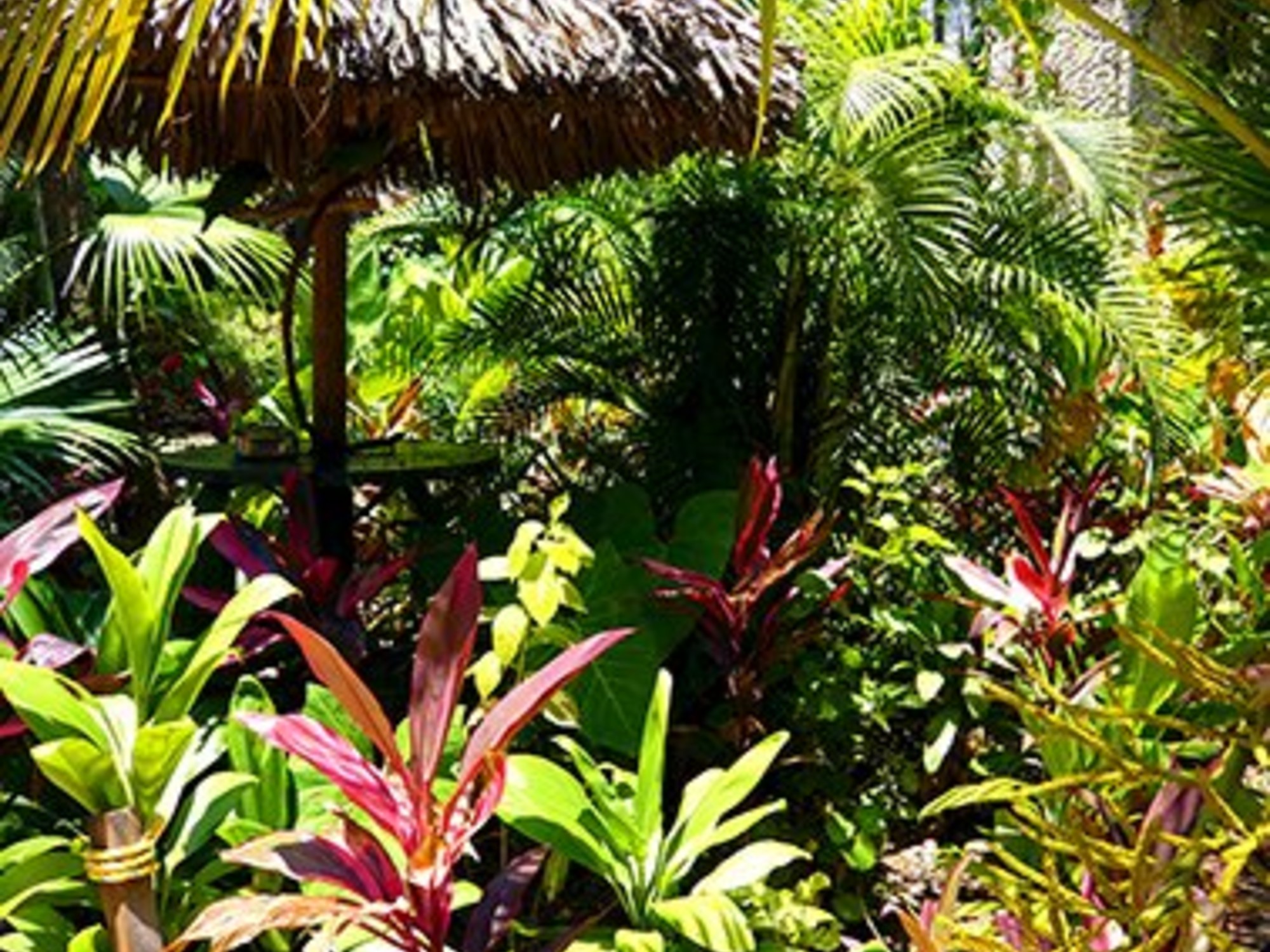 Moment Bekentenis Weigering Kunstplanten voor buiten geven uw tuin kleur - Easyplants kunstplanten en  kunstbloemen - Easyplants