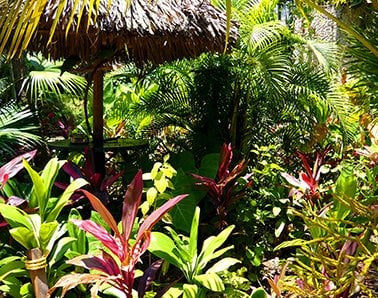 Kunstplanten voor buiten geven uw tuin kleur - Easyplants kunstplanten en kunstbloemen -