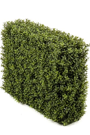 Greenmoods Kunst Buxushaag 70x20x50 cm UV