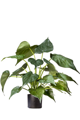 Greenmoods Kunstplant Alocasia 51 cm
