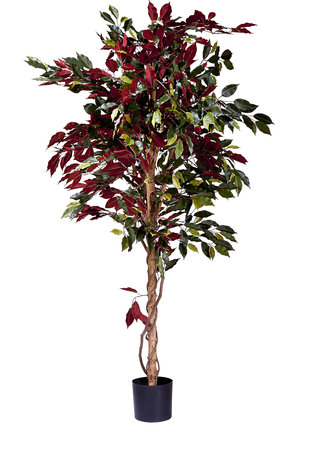 Kunstplant Ficus groen/rood 180 cm brandvertragend