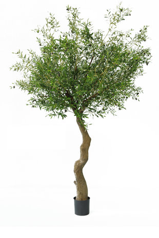 Kunst olijfboom 270 cm met olijven