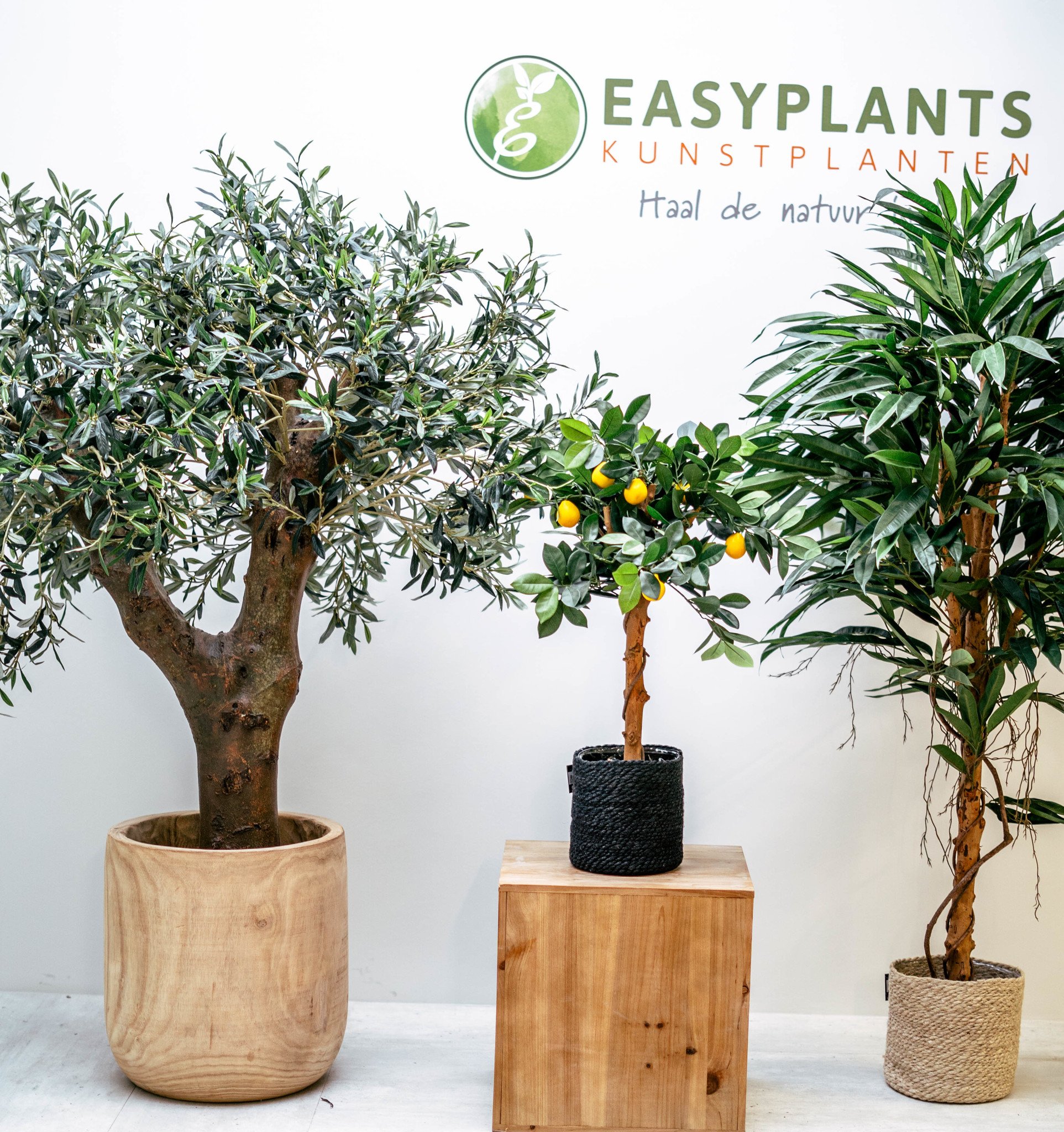 Kunstplanten - De voordelen van kunstplanten voor jou op een rij - Easyplants