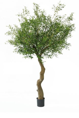Greenmoods Kunst Olijfboom 270 cm zonder olijven