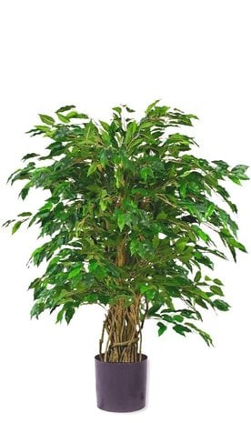 Greenmoods Kunstplant Ficus Liana 90 cm