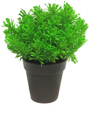 Kunstplant Pine 20 cm groen