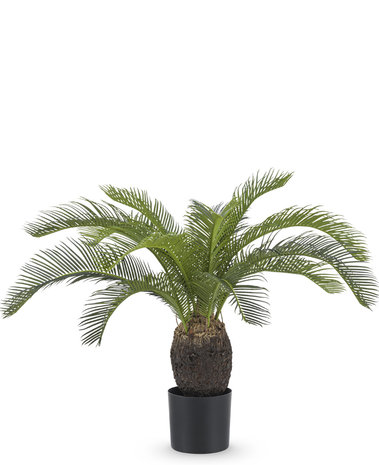 Kunstplant Baby Cycas Palm 60 cm
