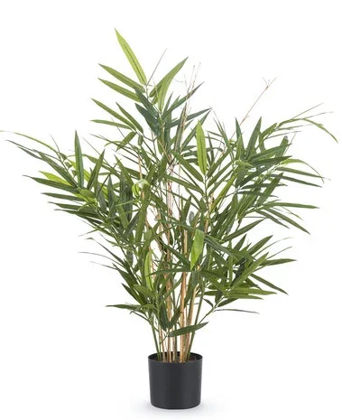 Greenmoods Kunstplant Bamboe Royaal 70 cm