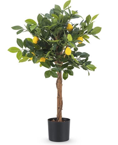 Greenmoods Kunstplant citroenboom 75 cm