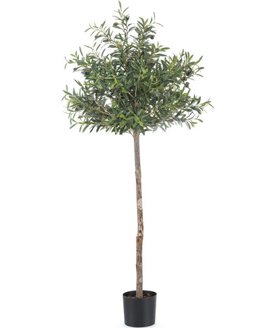 Greenmoods Kunst olijfboom met olijven 155 cm