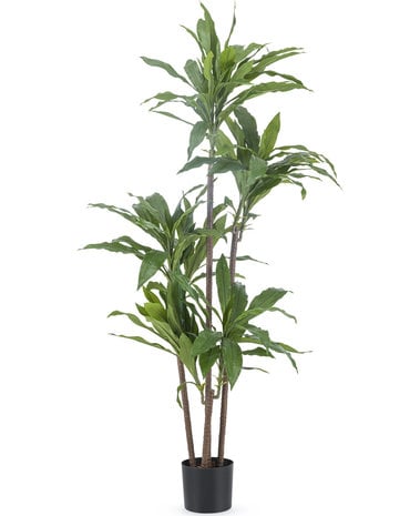 Greenmoods Kunstplant Dracena Fragnans 150 cm