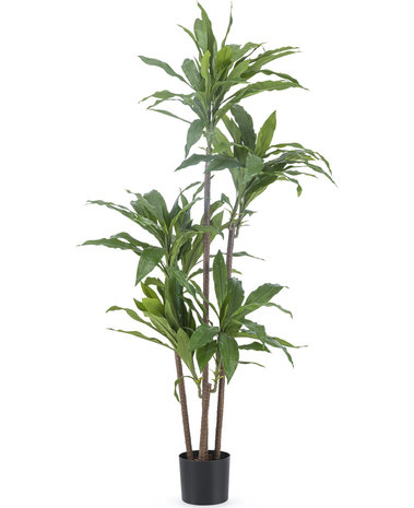 Kunstplant Dracena Fragnans 150 cm