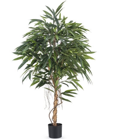 Greenmoods Kunstplant Longifolia Royaal 150 cm