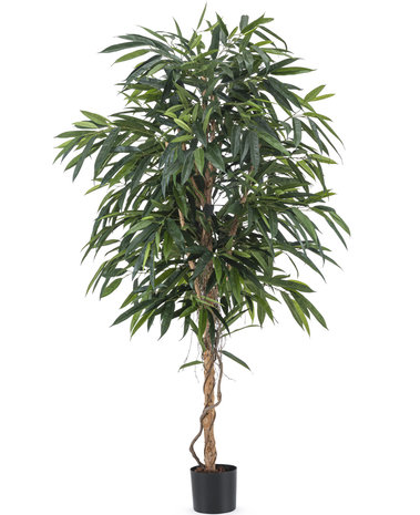 Kunstplant Longifolia Royaal 180 cm