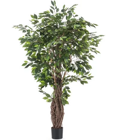Greenmoods Kunstplant Ficus Tropical  Liana 180 cm