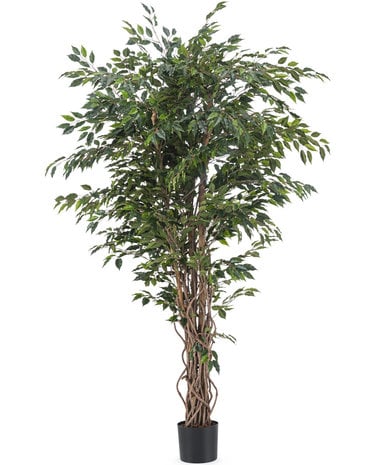 Greenmoods Kunstplant Ficus Liana 180 cm
