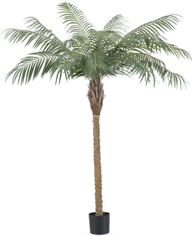 Kunstplant Phoenix Palm De Luxe 180 cm