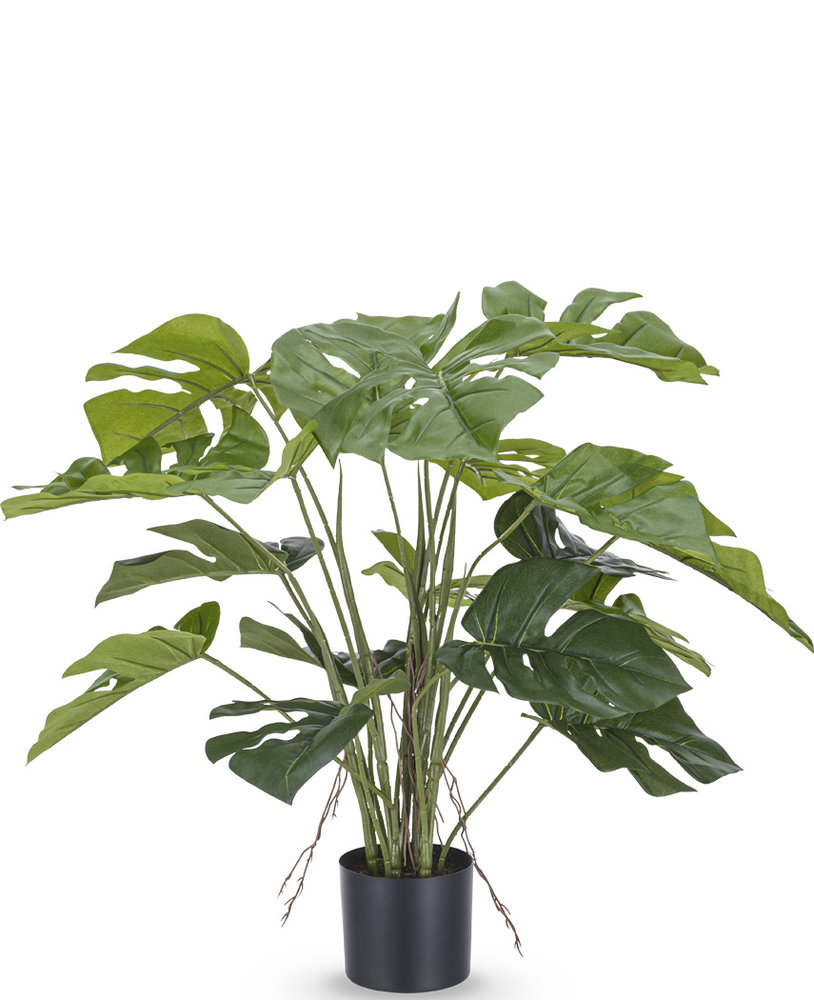 Trechter webspin geloof efficiënt Kunstplant Monstera 53 cm - Easyplants