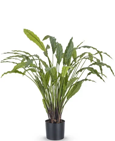 Greenmoods Kunstplant Calathea  80 cm