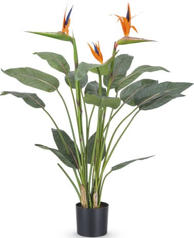 Kunstplant Strelitzia 115 cm