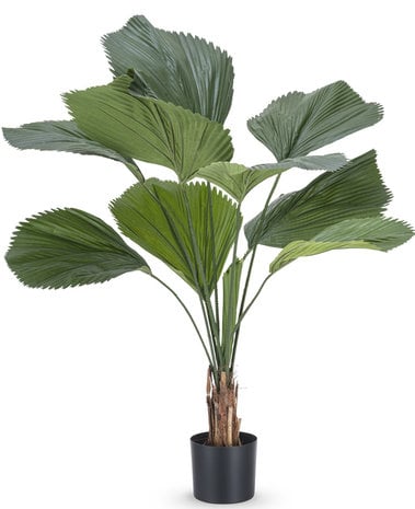 Greenmoods Kunstplant Lucuala Grandis 120 cm