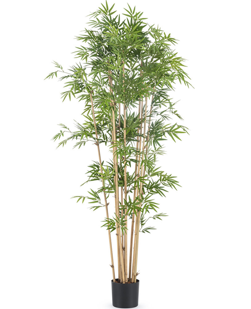 Schande Vete munt Kunstplant Japanse Bamboe 1.70m | Easyplants - Easyplants