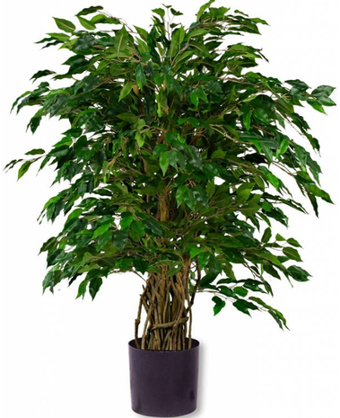 Greenmoods Kunstplant Ficus Liana 120 cm