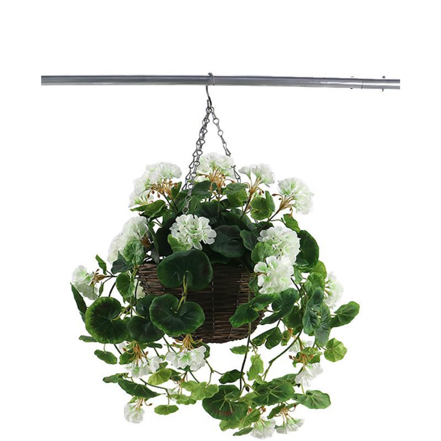 Kan weerstaan woensdag Convergeren Kunst hangplant Begonia in pot 70 cm - Easyplants